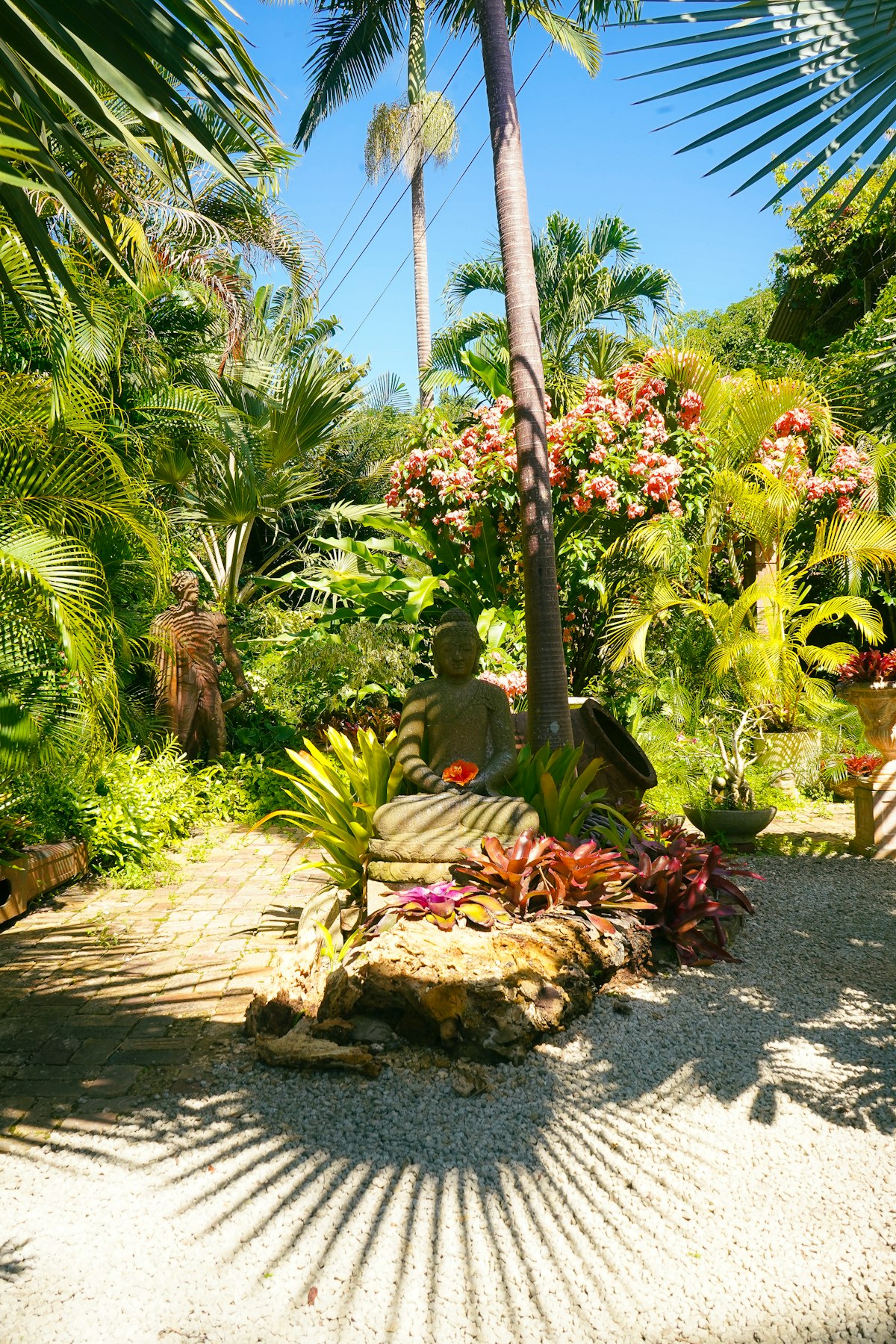 View over the lush garden with palm trees and flowers